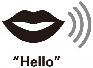 Voice-prompt