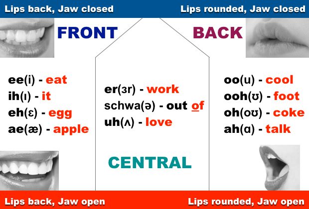 母音の発音指導ポイント 前舌 後舌 中舌母音に関して ドクターｄイングリッシュ